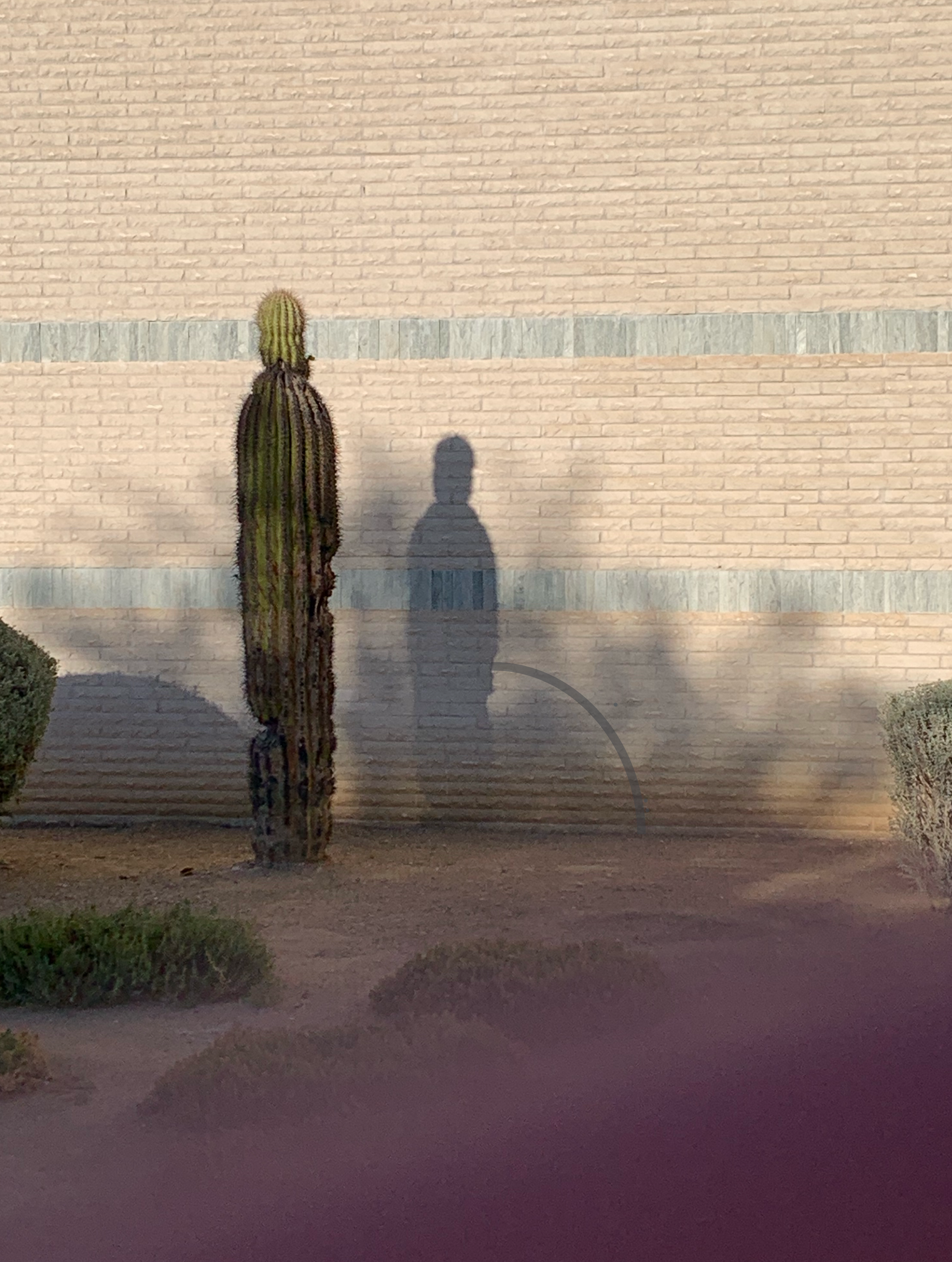 🎶 Pee and my shadow 🎶