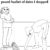 Of course it’s the “35-second rule” in dog years