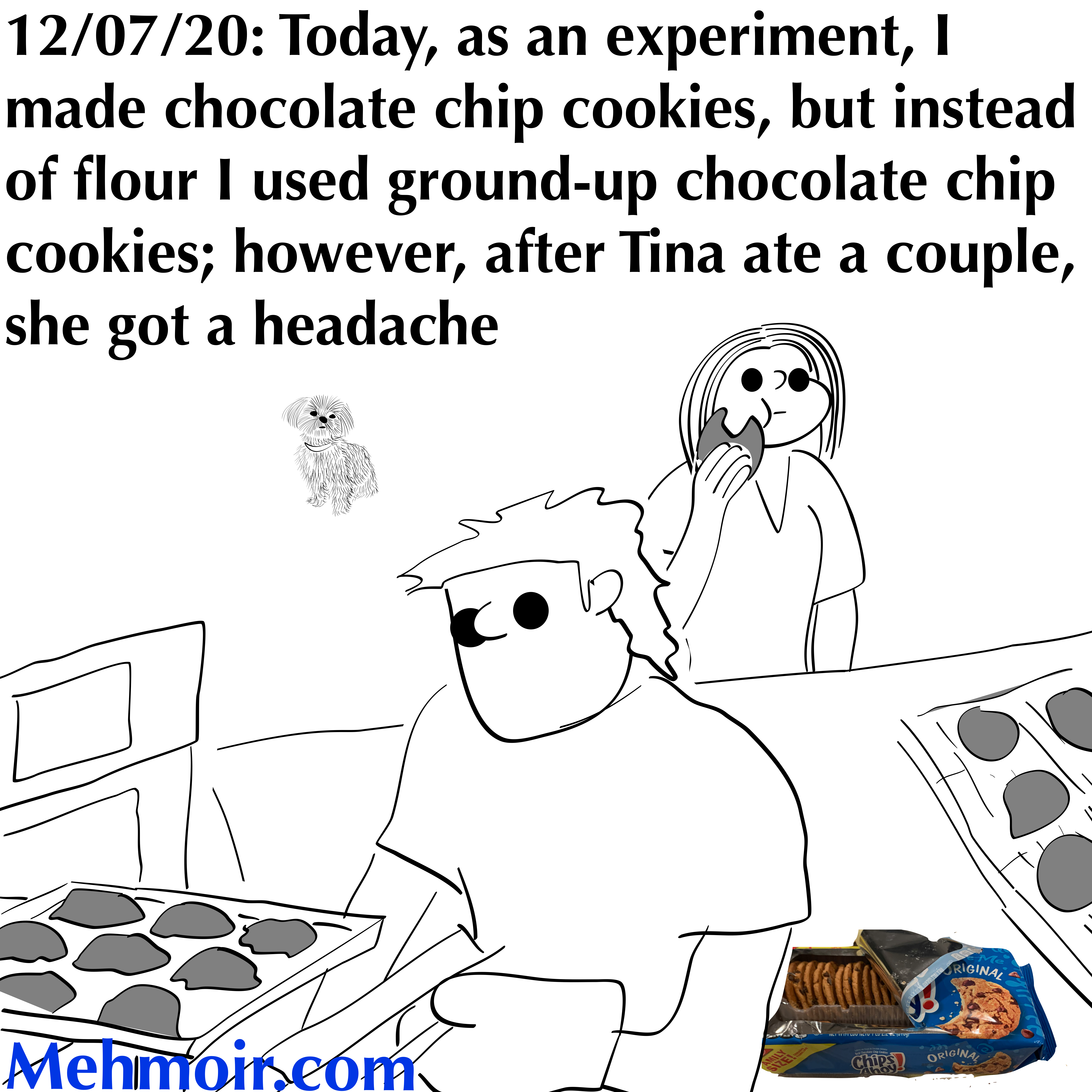 Meta Cookie